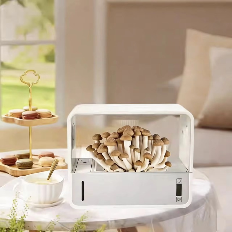 Hydroponic Kit - HydroBlue Masaüstü Mantar Yetiştirme Hidroponik Dikim