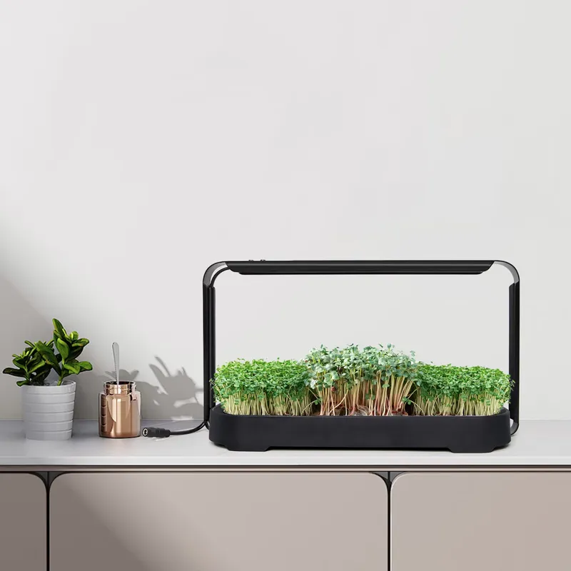 Self Watering Planter - Mikro yeşillikler için kendi kendine sulanan