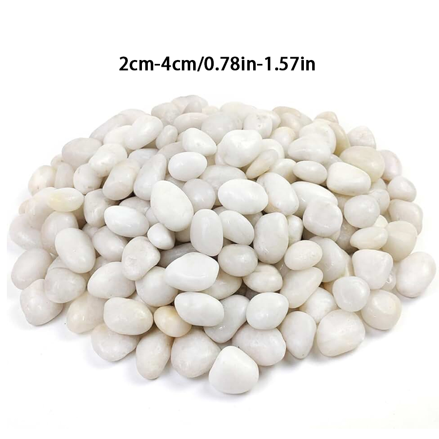 300/600g Cilalı Beyaz Çakıl Ta - Indoor Herb Garden incelemesi ve fiyatı
