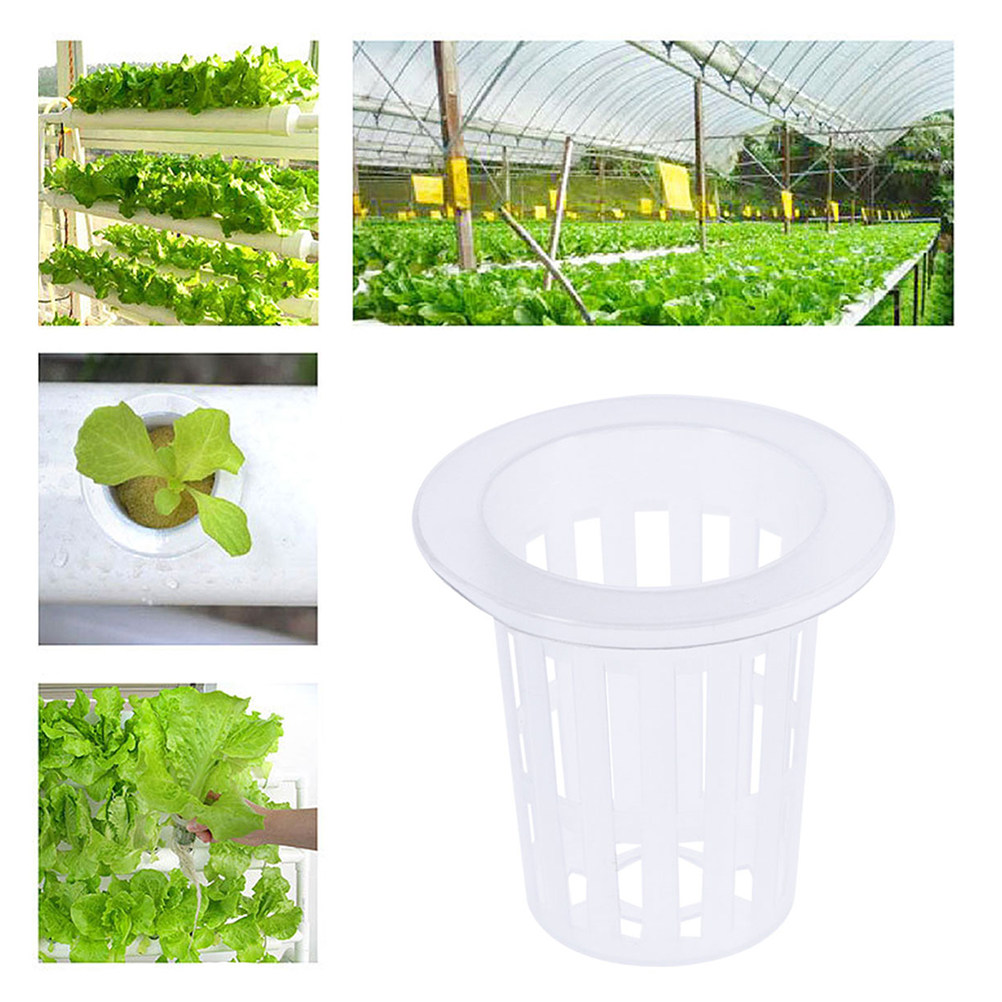 10 adet Hidroponik Sebze Saksı - Plant Pot incelemesi ve fiyatı