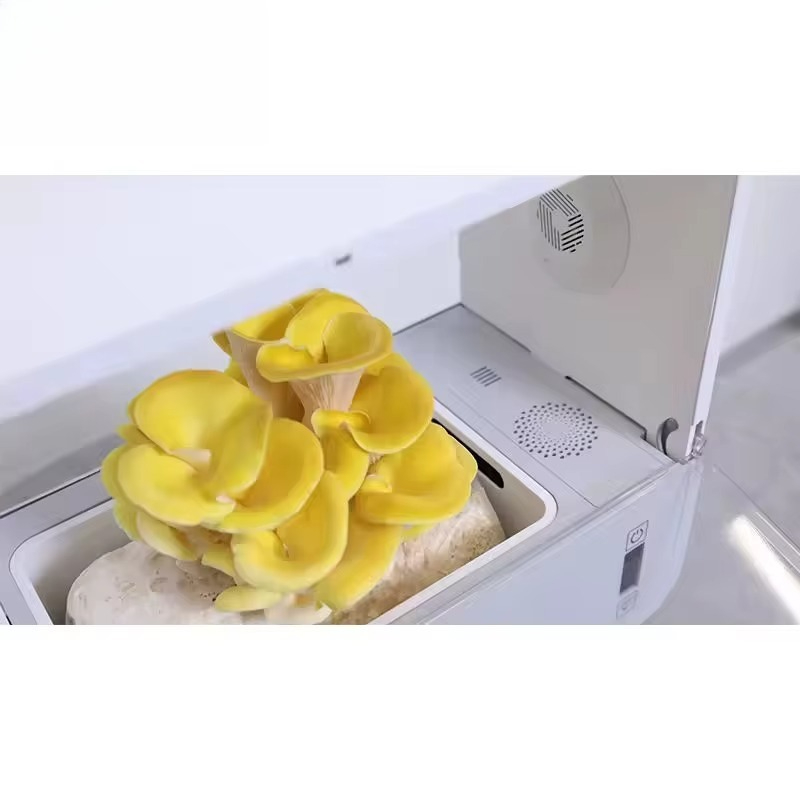 HydroBlue Masaüstü Mantar Yeti - Hydroponic Kit incelemesi ve fiyatı