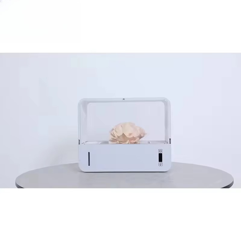 HydroBlue Masaüstü Mantar Yeti - Hydroponic Kit incelemesi ve fiyatı