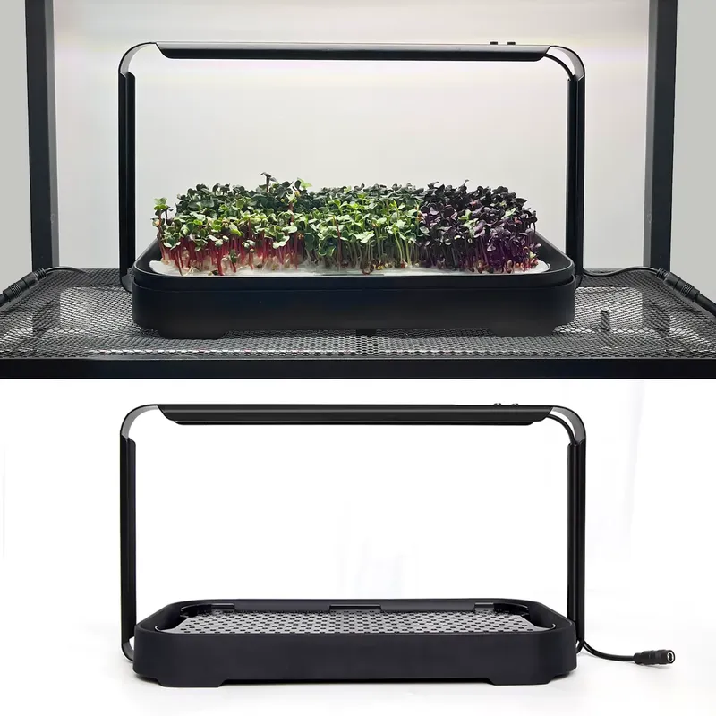 Mikro yeşillikler için kendi k - Self Watering Planter incelemesi ve fiyatı