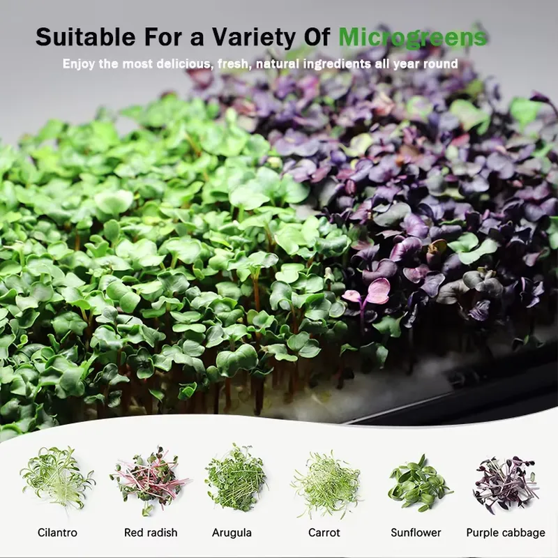 Mikro yeşillikler için kendi k - Self Watering Planter incelemesi ve fiyatı