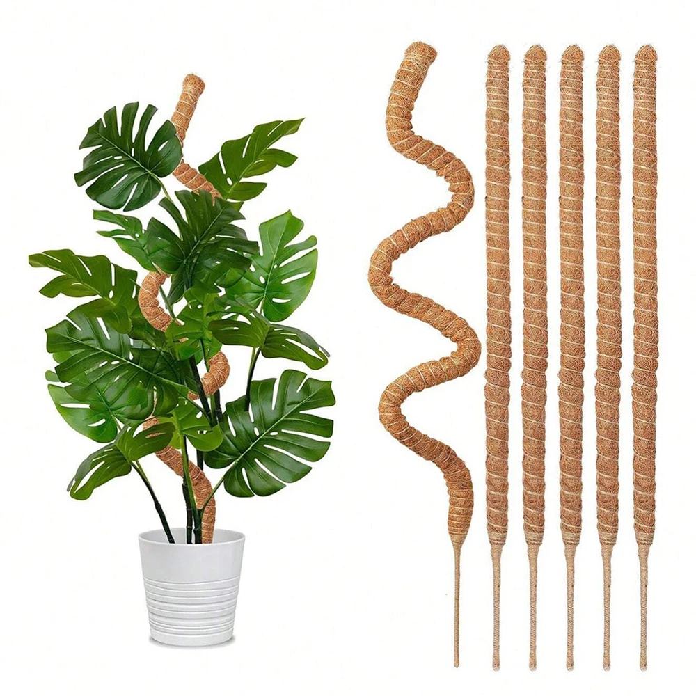 Monstera Bitkisi için Yosunlu  - Indoor Herb Garden incelemesi ve fiyatı