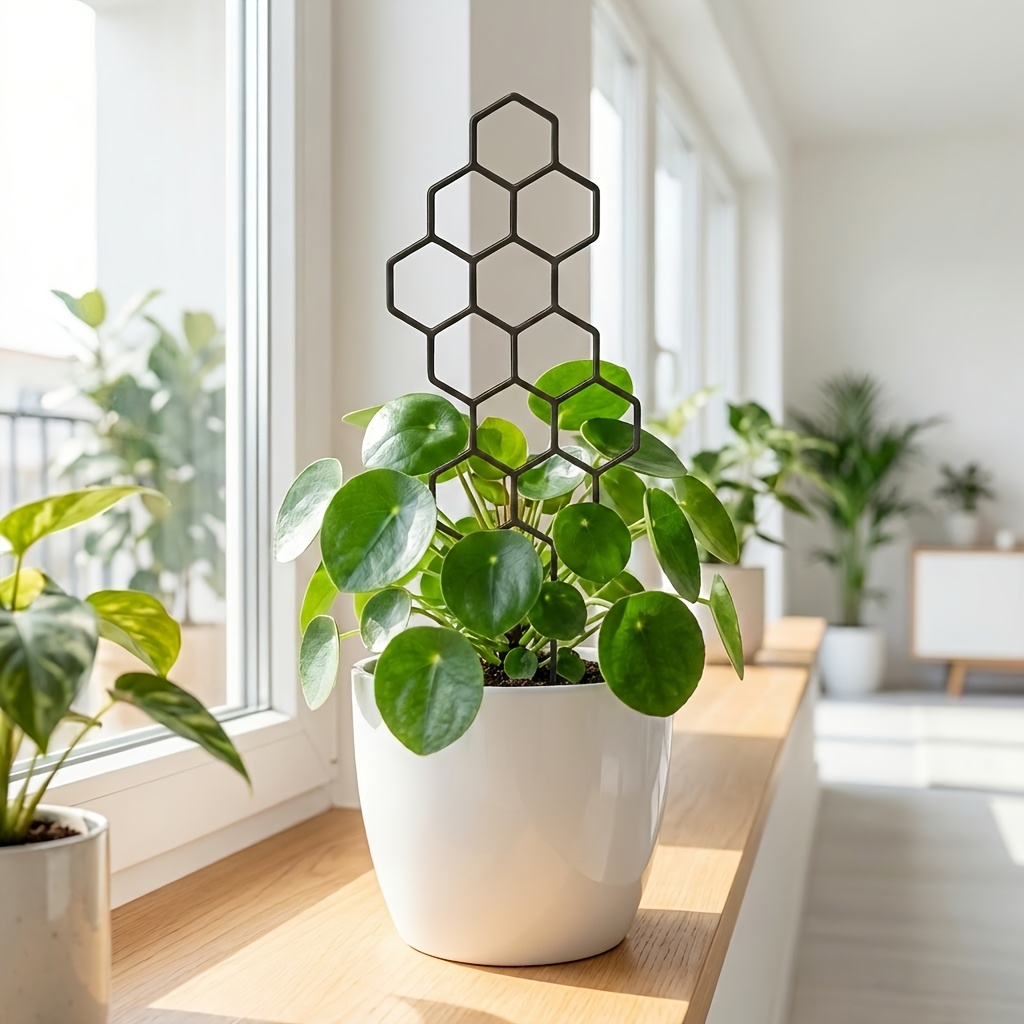 1/2 Paket İç Mekan Bitki Çarda - Indoor Herb Garden incelemesi ve fiyatı