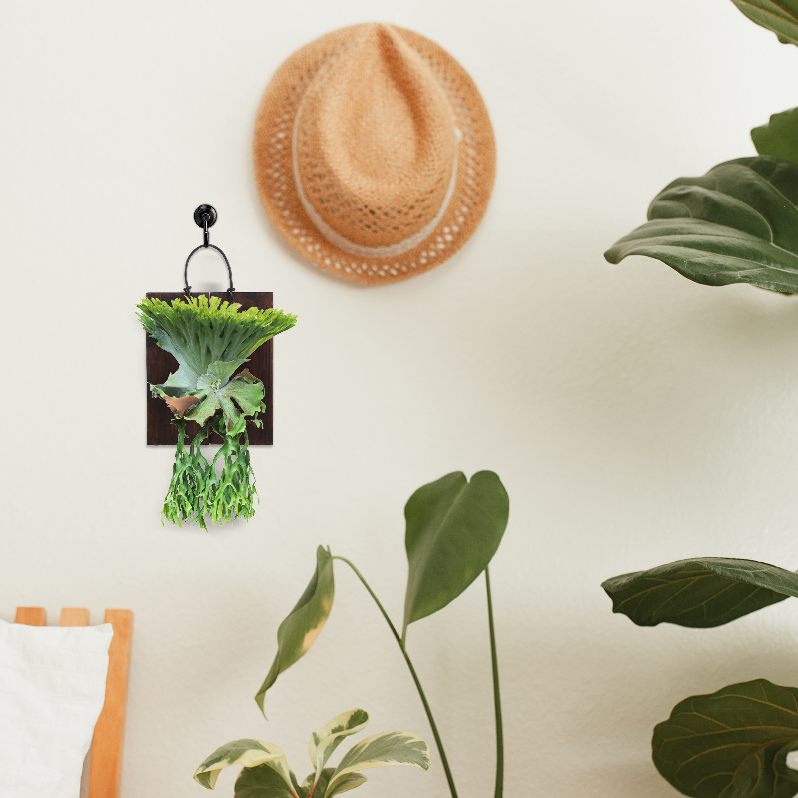 Geyik Boynuzu Şeklindeki Eğrel - Vertical Planter incelemesi ve fiyatı
