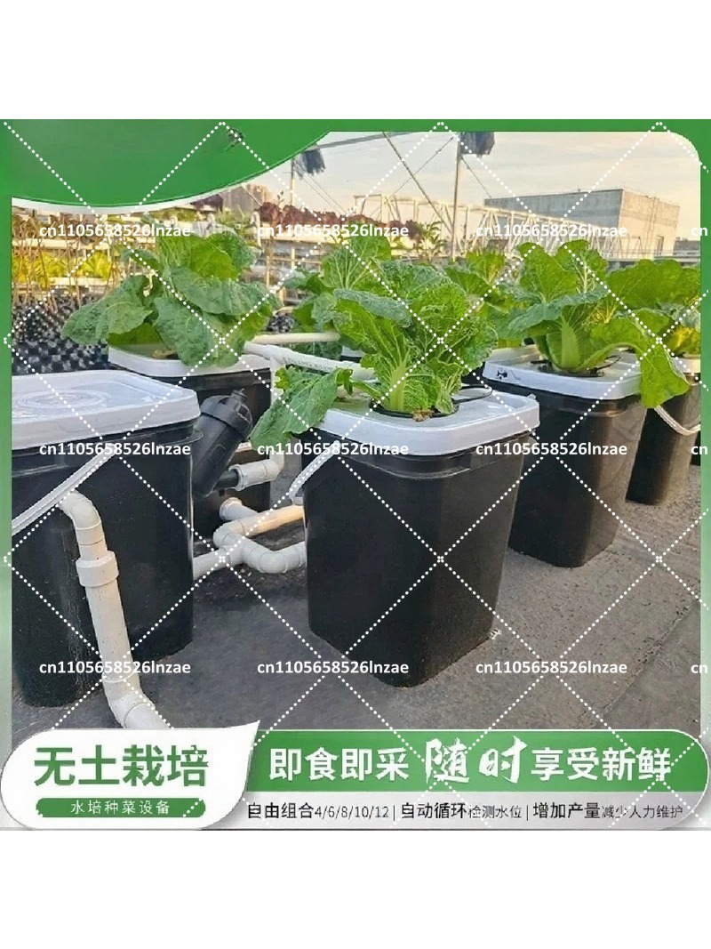4+1 8+1 RDWC Hidroponik Sistem - Hydroponic Kit incelemesi ve fiyatı