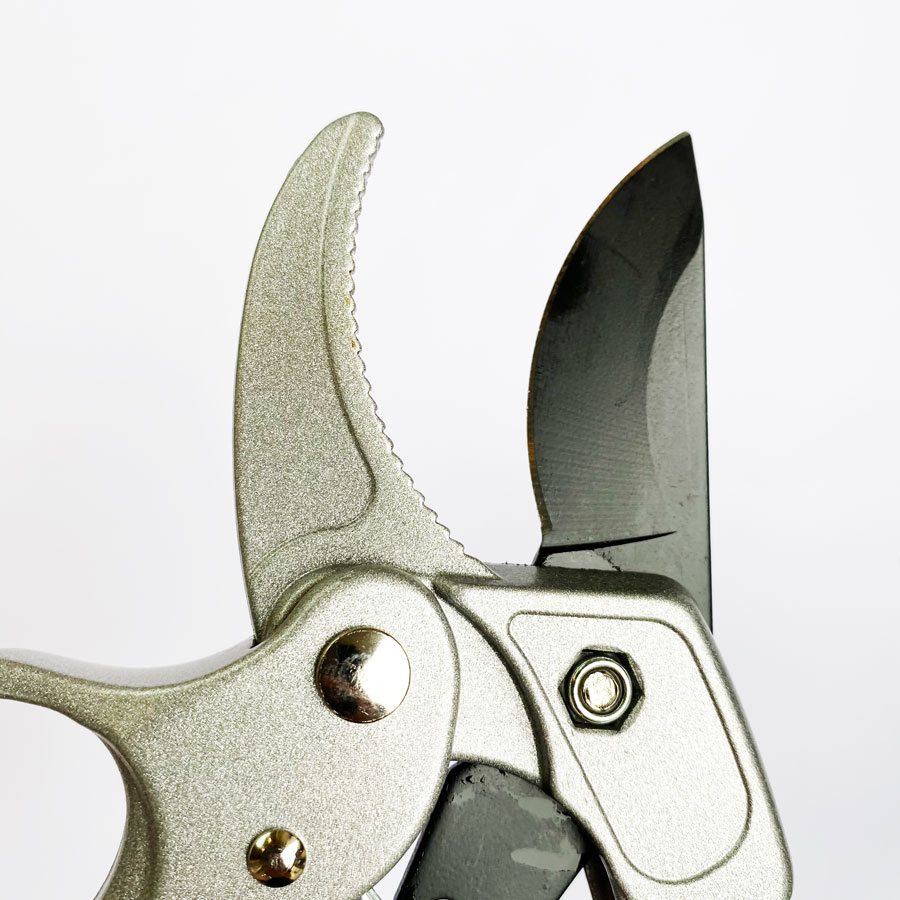 Profesyonel Kilitli Budama Mak - Pruning Shears incelemesi ve fiyatı