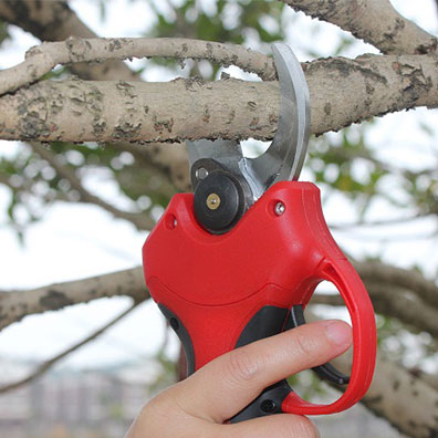 Yüksek Kaliteli Kaymaz Saplı B - Pruning Shears incelemesi ve fiyatı