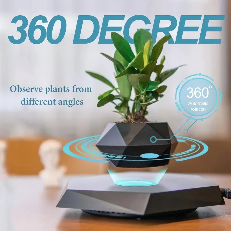 Havada Asılı Bitki Saksısı, Yü - Plant Pot incelemesi ve fiyatı
