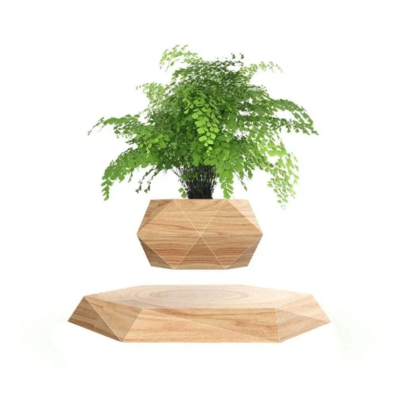 Havada Asılı Bitki Saksısı, Yü - Plant Pot incelemesi ve fiyatı