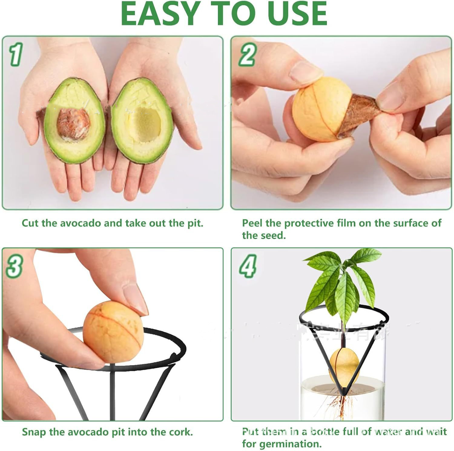 Topraksız Cam Avokado Tohumu V - Hydroponic Kit incelemesi ve fiyatı